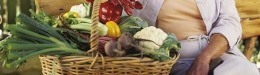 Marissa Lippert: Going Vegetarian: Plain, Simple And Sane