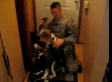 Dogs Greet Soldiers Returning Home (VIDEO)