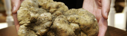 The Priciest Foods Ever... And Why Expensive Foods Cost So Much (PHOTOS)