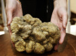 The Priciest Foods Ever... And Why Expensive Foods Cost So Much (PHOTOS)