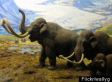 Dung Helps Reveal Why Mammoths Died Out