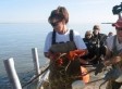 Exxon Lawyer: Palin's Account Of Valdez Case 'Cockamamie Bulls**t'
