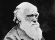 Charles Darwin's 