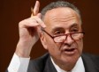 Schumer 'Bitch'-es Out Flight Attendant: Senator Insults US Airways Attendant
