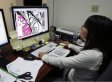 Kids' Top Searches In 2009: Porn, Sex, YouTube Top The List