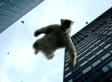 Polar Bears Falling To Their Deaths: Plane Stupid's Shock Ad  (VIDEO)