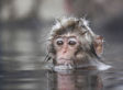 National Geographic's International Photo Contest (PHOTOS)