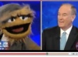 Spill O'Reilly! Sesame Street Talking Head Meets Fox News Host (VIDEO)