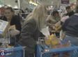 Zhu Zhu Pet Sales Madness: This Year's Hottest Toy (VIDEO)