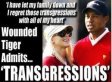 Transgression, Transgression Definition Top Google With Tiger Woods Affair