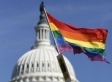 Straight Brooklyn Couple Applies to Annul Marriage Because Gay Marriage Still Not Legal