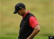 Tiger Woods, why he might have done it?