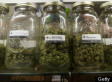 Prosecuted Pot Provider Accuses Obama of Entrapment, Uses Campaign Promises in Defense