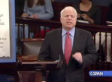 John McCain Gets Mad On Senate Floor During Health Care Debate (VIDEO)