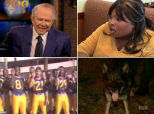 Must See Video: A Talking Dog, <em>Today</em>\'s Lewd Toy Demo, Pat Robertson Describes Heaven, And More!