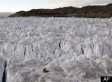 56 Papers In 45 Countries Publish Joint Editorial On Climate Change: A 'Profound Emergency'