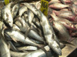 M. Slavin & Sons Fish Market Charged With Groping Employees' Butts, Sticking Fish Hooks In Them