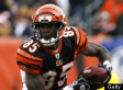 Chad Ochocinco Fined $30K For Poncho, Sombrero Celebration