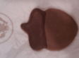 Steve King Sees Conspiracy In Acorn Cookie At White House Party