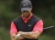 Tiger Woods Congressional Gold Medal Effort Dropped By Joe Baca