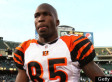 Chad Ochocinco: 'I'll Keep Jacking Up The Celebrations'