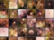 Hubble Telescope Captures 'Space Jellyfish', Infant Solar Systems (PHOTOS)