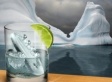 'Gin And Titonic' Ice Tray Makers Criticized For Making Light Of Titanic Sinking