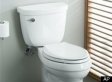Baby Survives Being Born In Toilet