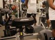 Douglas Smith Killed In Gym Fight Over Exercise Equipment