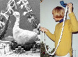 Let's Bring Back: The Holiday Season Edition