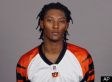 Chris Henry DEAD: Killed In Truck Incident, Domestic Dispute