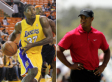 Ron Artest's Letter To Tiger Woods