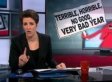 Rachel Maddow: The GOP's Internet FAILS Of 2009 (VIDEO)