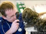 The Best (And Best-Paying) Jobs For 2008