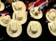 South To Get More Political Power Through Census