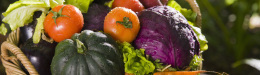 Dr. John Salerno: Why I Recommend Organic Foods To My Weight Loss Patients