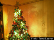 C-SPAN Caller: I'm So Mad About Health Bill Passing, I Took My Christmas Tree Down! (AUDIO)