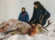 Palin's Book Sparks Attacks On Vegetarian Critic