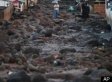 Brazil Mudslide: 10 Dead, Houses Destroyed On Island Off Angra Dos Reis, Search Continues