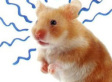 6 Creepy Animal Behaviors That Science Can't Explain 