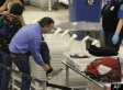 Obama: 'Dots' Not Connected In Airline Attack
