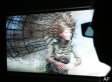 Discovery, Imax, Sony To Form 3D TV Channel