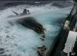 Sea Shepherd Conservation Society: Whaling Ship Deliberately 'Plowed' Into Our Boat (VIDEO)