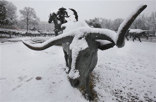 dallas snow photos