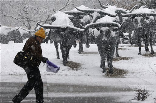 dallas snow photos