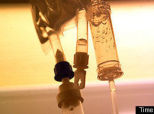 A Case For Euthanasia