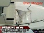 Eagle Ray Kills Woman In Florida: Video