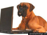 Does Your Dog Blog?