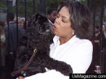 Oprah\'s 13-Year Old Dog Dies