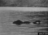 Loch Ness Monster And Me: Life With An Obsession
